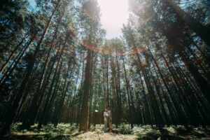 preboda en la sierra de madrid, Ruben mejias fotografo de bodas