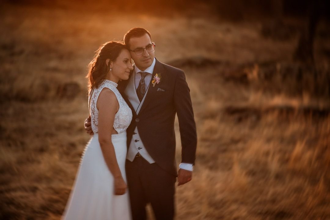 Los novios abrazados en el campo con luz dorada de atardecer.